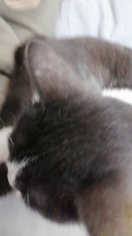 VID_20251126_174955.mp4