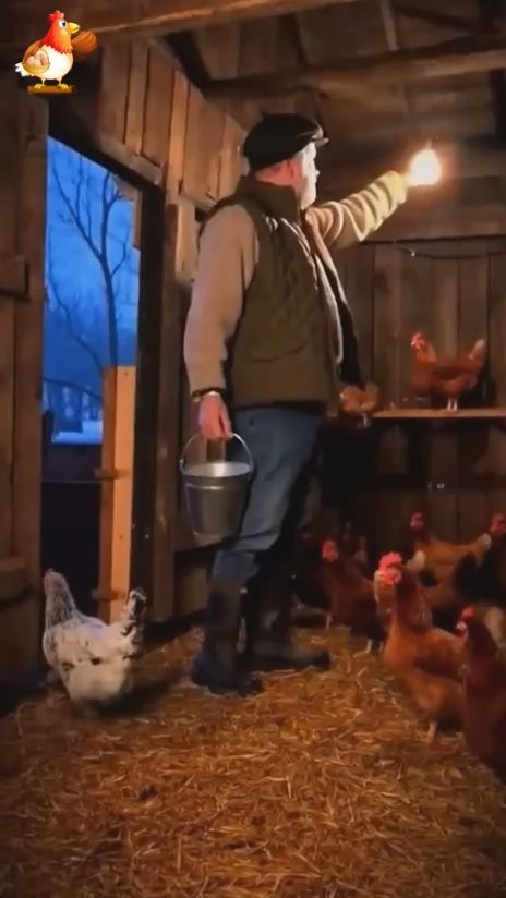 Спокойной ночи, девчата!