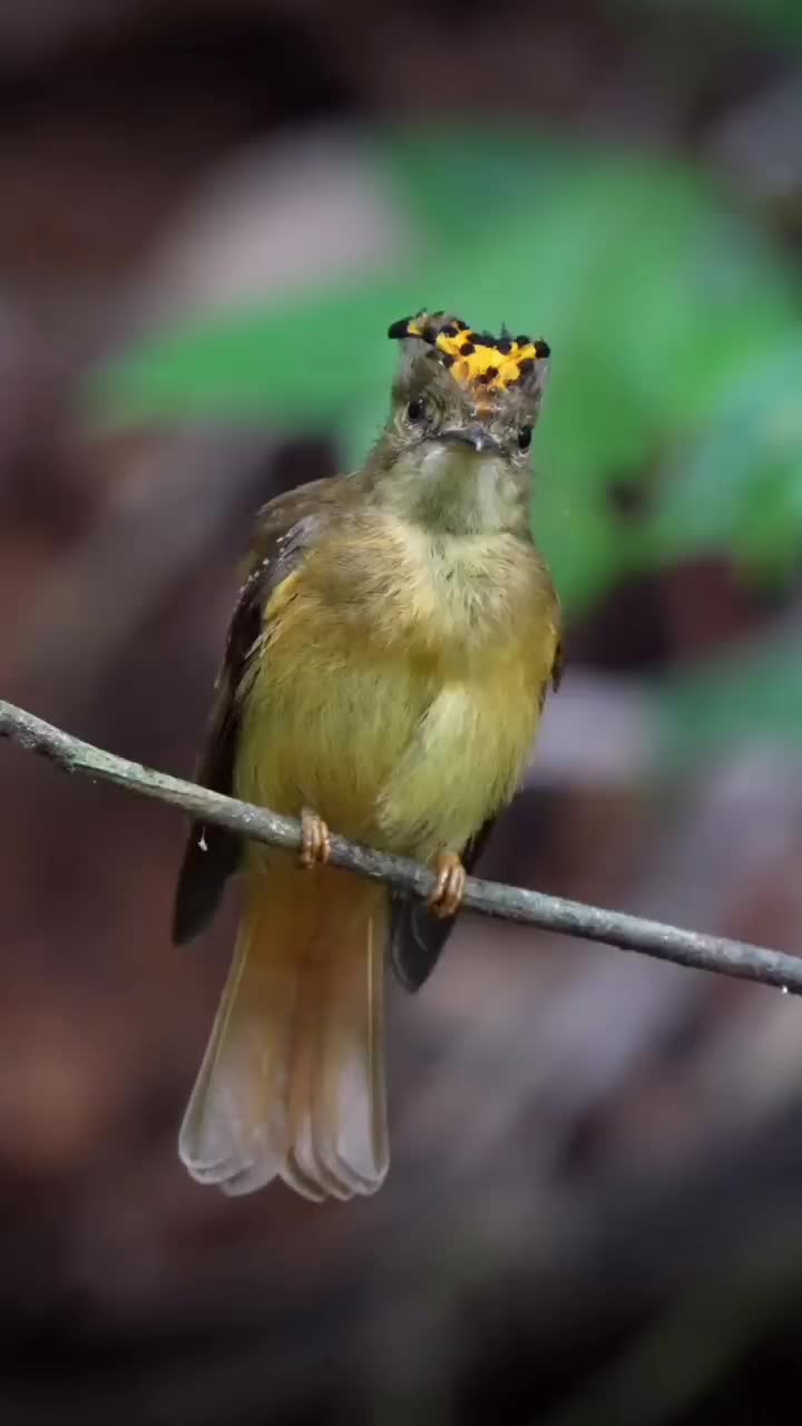 Подпишись 👉 https://kamennyi-zver.ru/