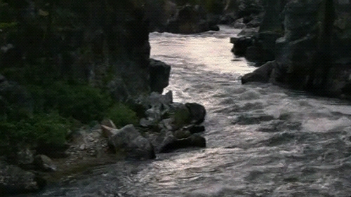 Тайга 🫶❤️🤗