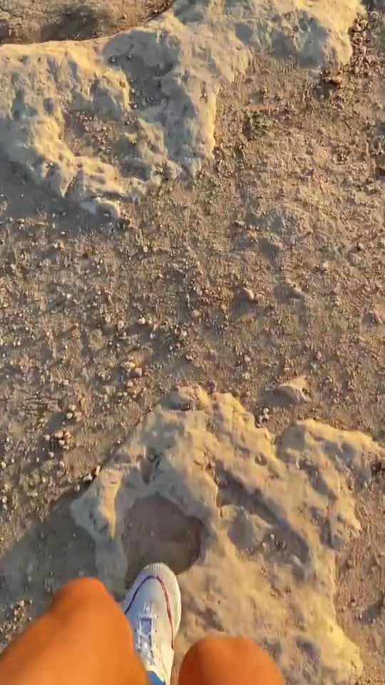 Подпишись 👉 👉 https://kamennyi-zver.ru