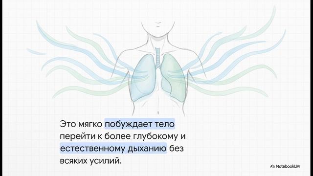 Что, если путь к глубочайшему состоянию осознанности начинается не с усилия, а с отпускания?