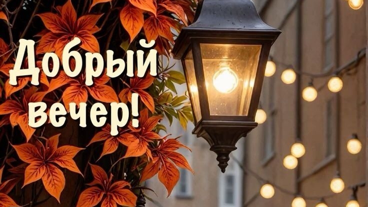 Добрый вечер♥️ Пусть вечер будет душевным и спокойным♥️♥️