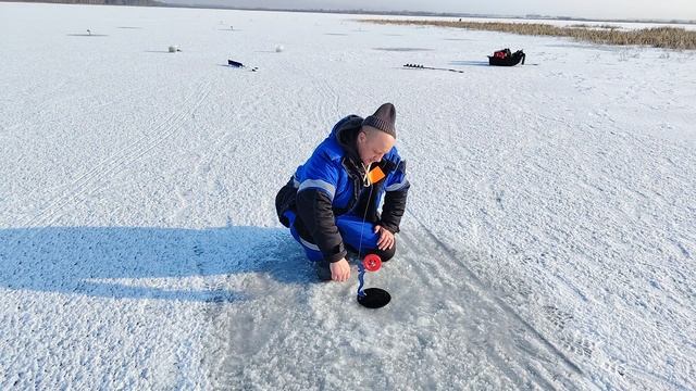 Щука на жерлицы. Первый лёд сезон 2025-2026.