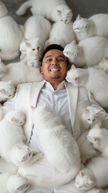 My Kitty #snippet #musician #music #dj #create