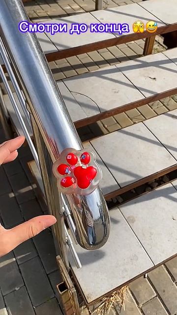 Популярное видео, после которого меня увидели много людей 😎