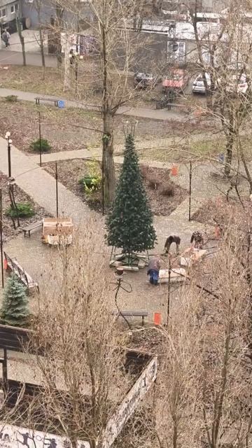 🌲🎄В Тихом парке в Макеевке уже ставят ёлочку