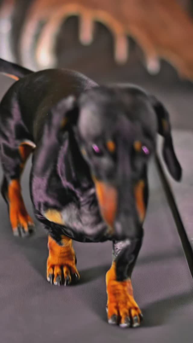 Оливье много не бывает)