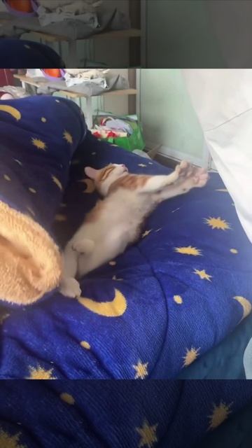 Зочим вы меня разбудили?😡