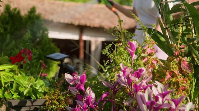 Мы строим дома, где пишется семейная история