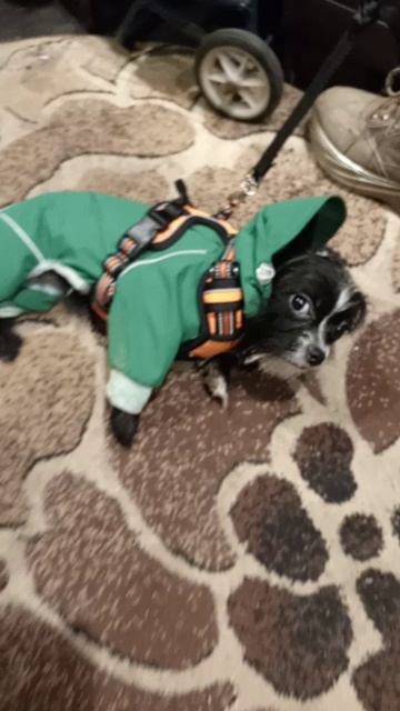 Варвара Фёдоровна💖