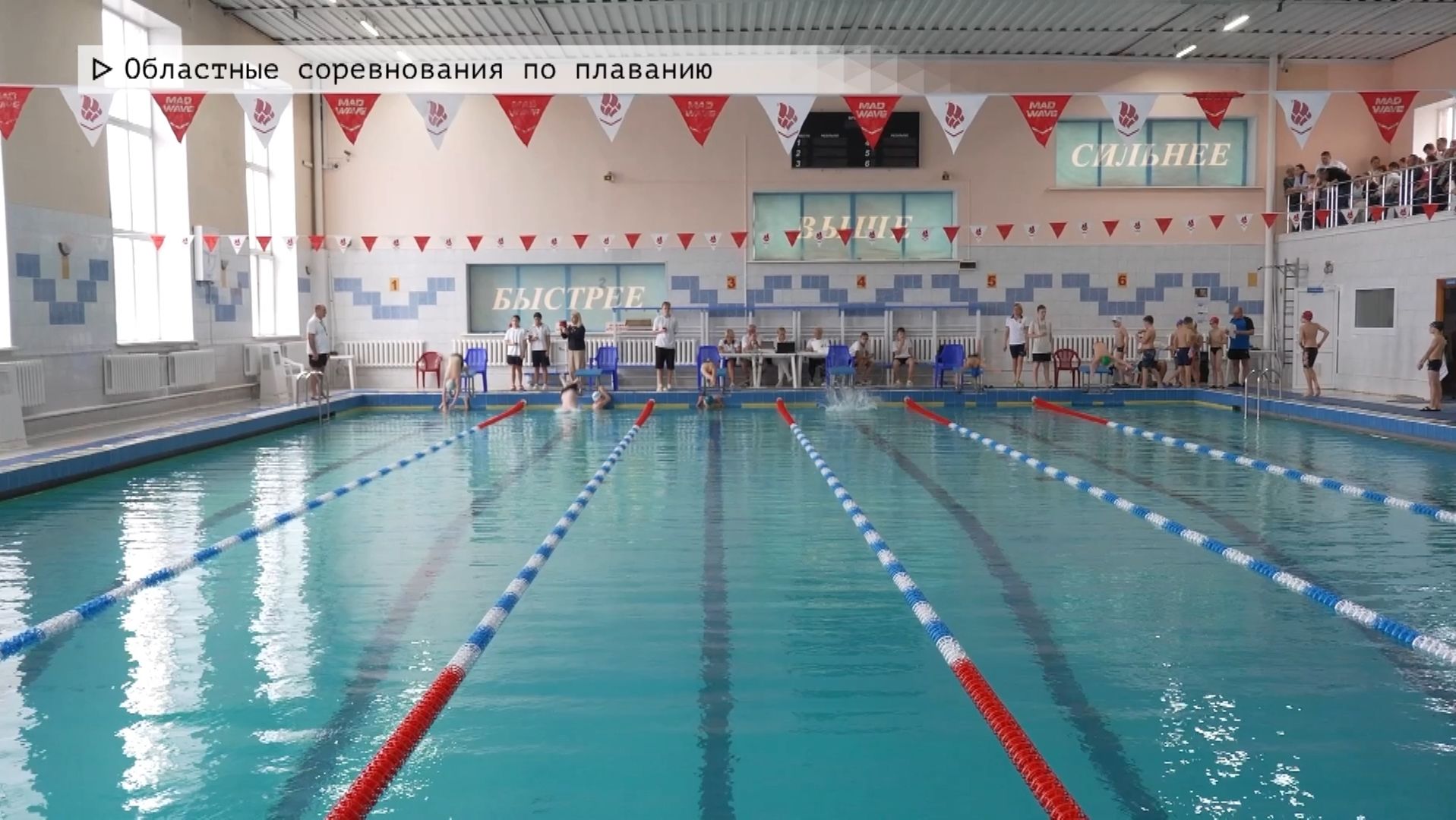 Время местное. Эфир: 26-11-2025 - Областные соревнования по плаванию.