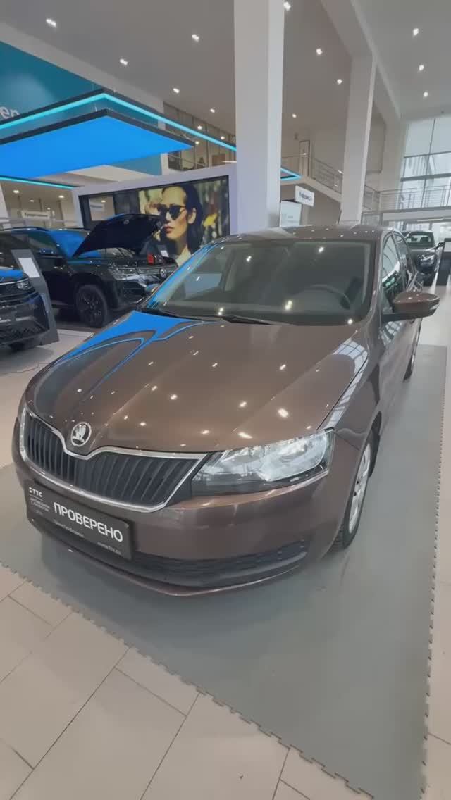 skoda rapid 1711