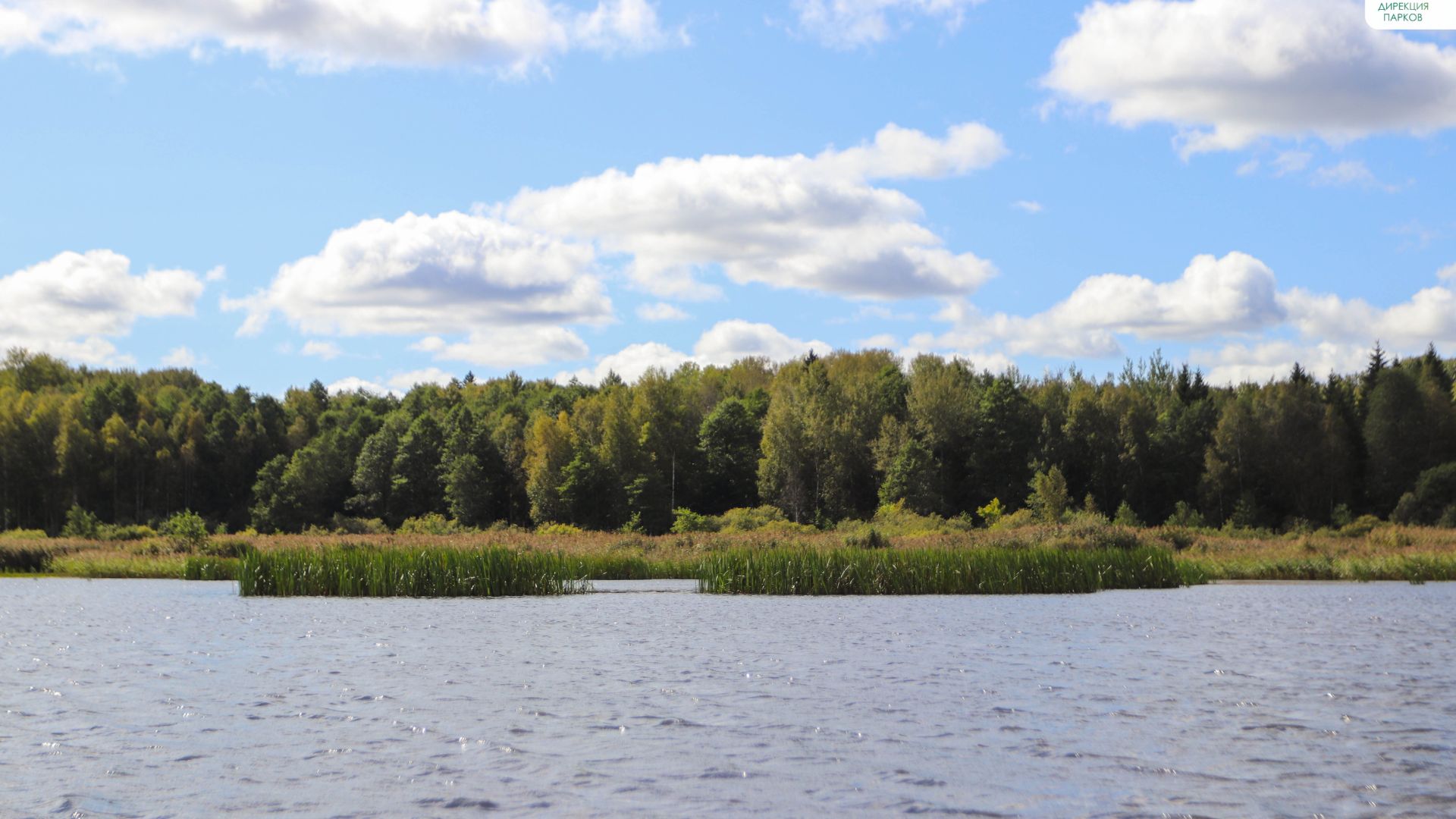 Памятник природы «Милятинское водохранилище» (ООПТ)