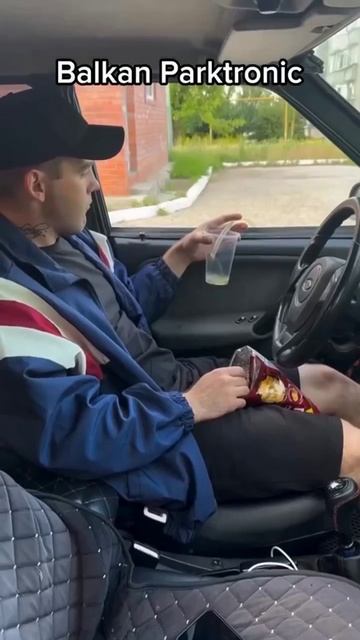 Балканский парктроник.