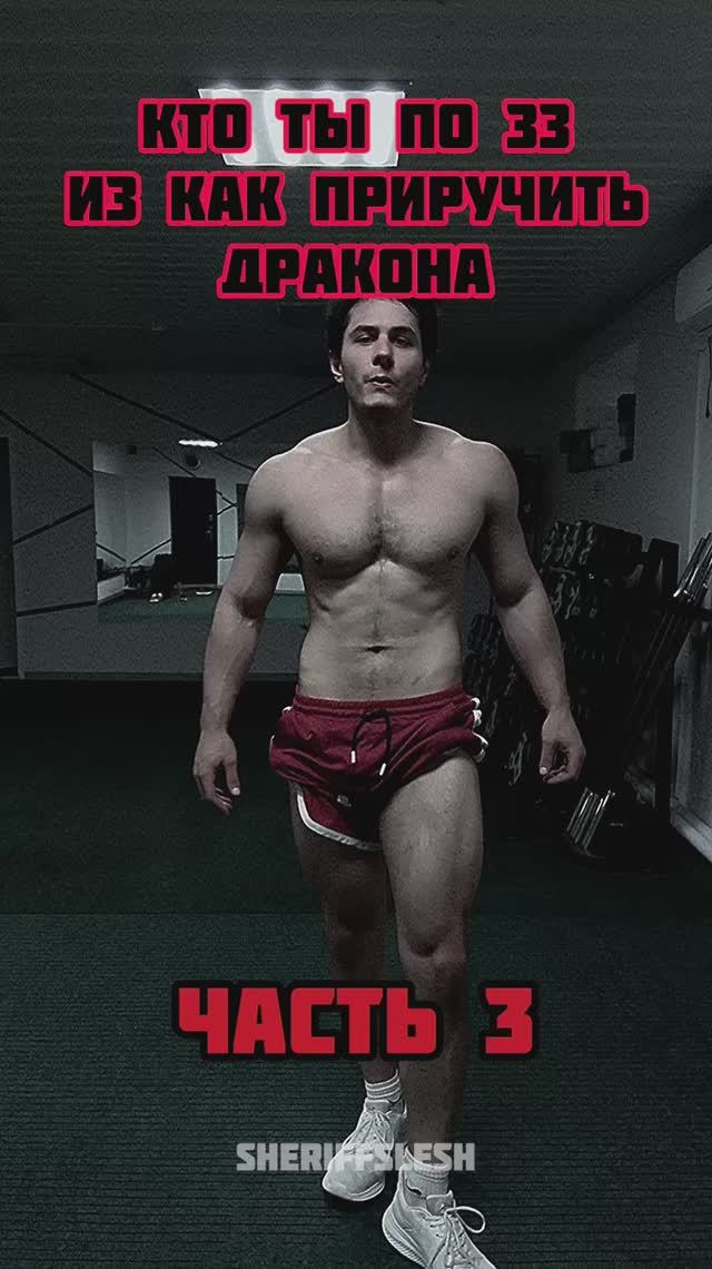 Кто ты из как приручить дракона часть 3