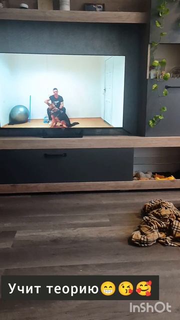 Собака учит теорию