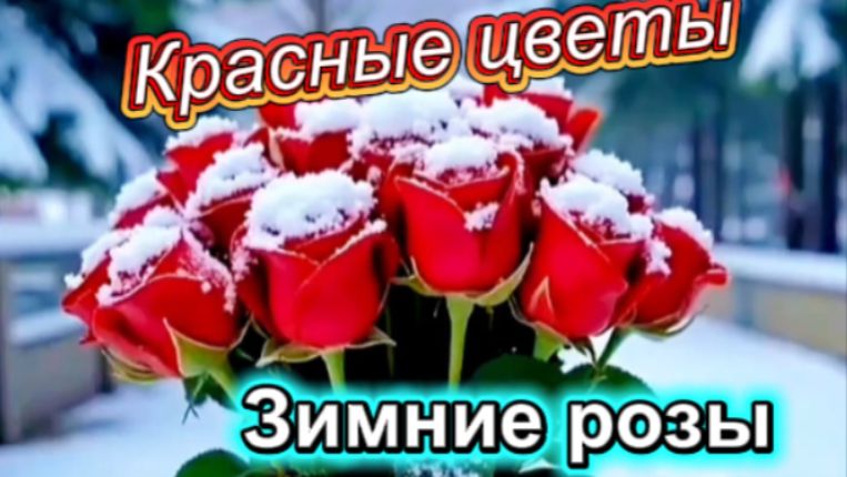 Хит наступающей зимы! Зимние розы!