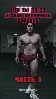 Кто ты из как приручить дракона часть 1