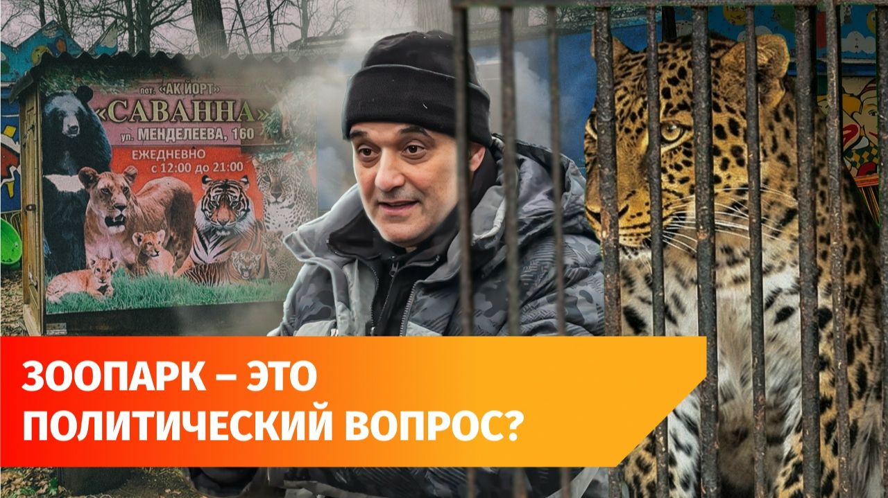 Прокуратура нашла нарушения в работе закрытого зоопарка в Уфе. Как там содержаться животные?