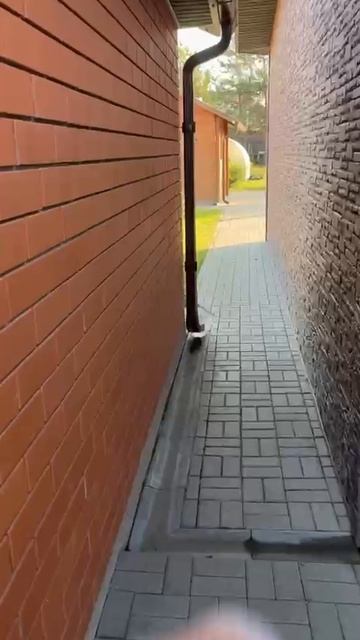 Жилой дом нашей Светланы 26.11.25.