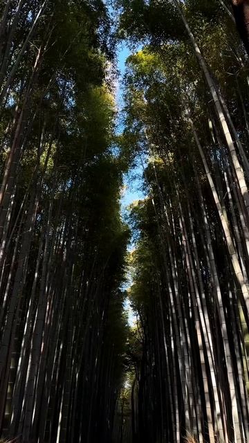 The next station is… Japan 🇯🇵