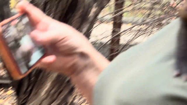 ЧЕМУ ТАК УДИВИЛАСЬ Люська и остальные обезьяны, увидев КАК ЕДЕТ мама))