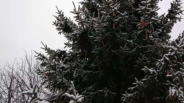 Заметает зима, заметает