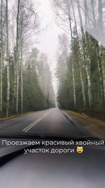 Мы сняли короткое видео о том, как доехать до эко-парка, съехав с трассы М-10 😊