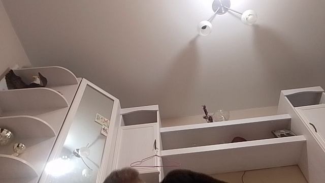 делаю 700 приседаний 240/700