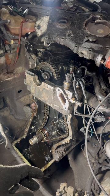 Замена цепи в Мерседеса это вообще очень просто, делов то🥲