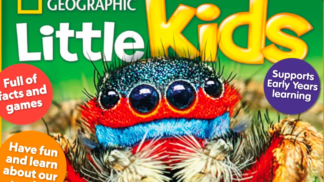 Секретная формула любопытства