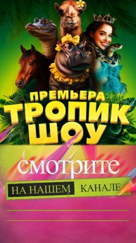 Тропик шоу. В Кисловодском цирке прошла инклюзивная акция «Волшебство в тишине» #Shorts