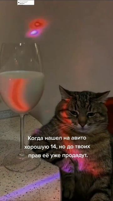 топ олдовский мемасик