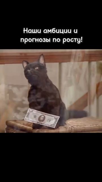 Уже строим планы на 2026 год :)