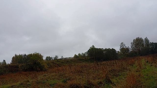 около деревни ново