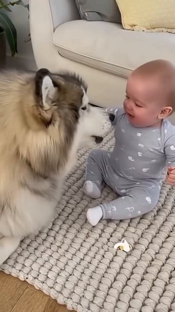 СМЕШНАЯ НЕЙРОСЕТЬ