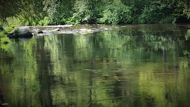 ТОЧКА ПЕРЕСЕЧЕНИЯ: ЛИНДУЛОВСКАЯ РОЩА