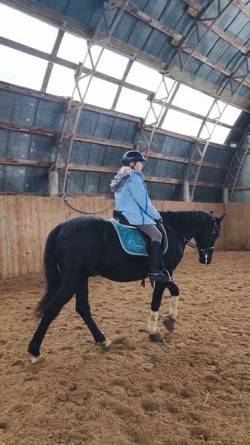 Ульяна и Рокас Вэлл, шаг в манеже.