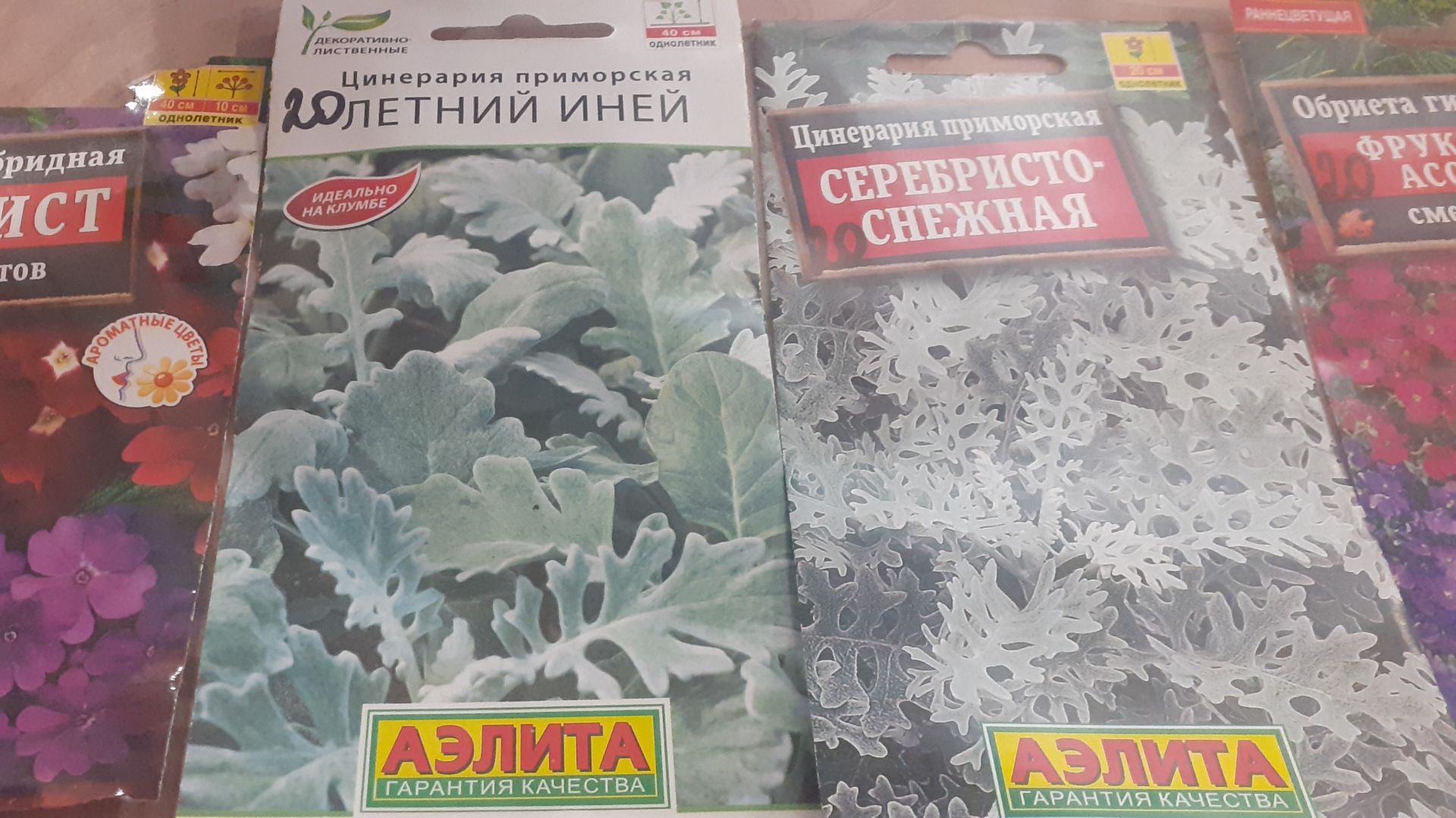 26.11.2025 Семена каких растений купила?