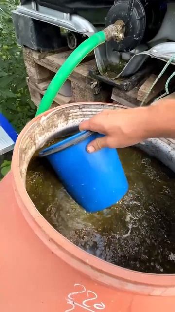 Органическая подкормка для растений