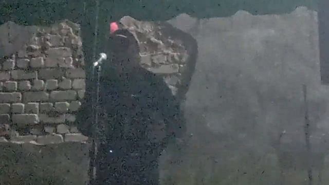 26 ноября 2025 г.