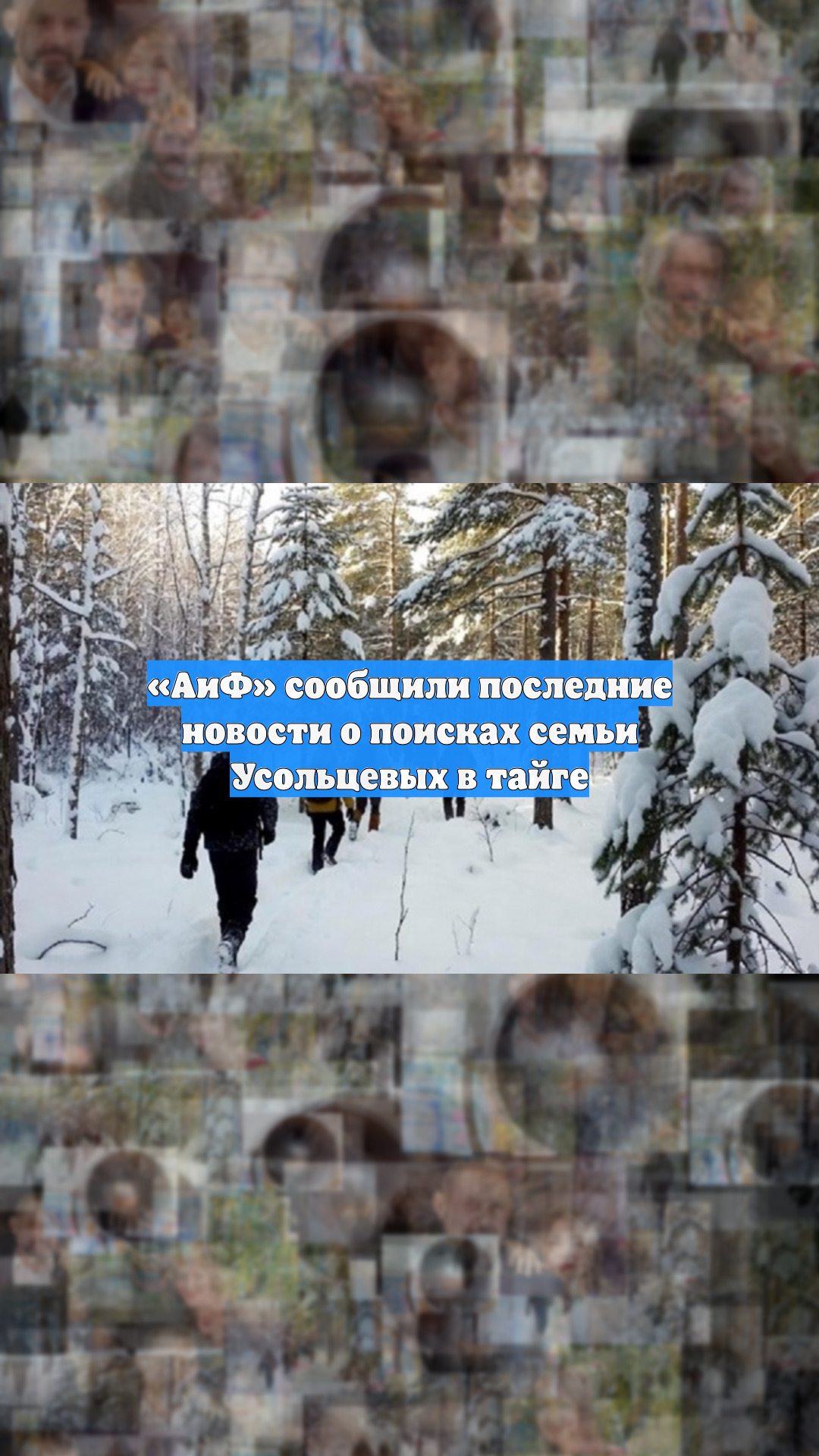«АиФ» сообщили последние новости о поисках семьи Усольцевых в тайге