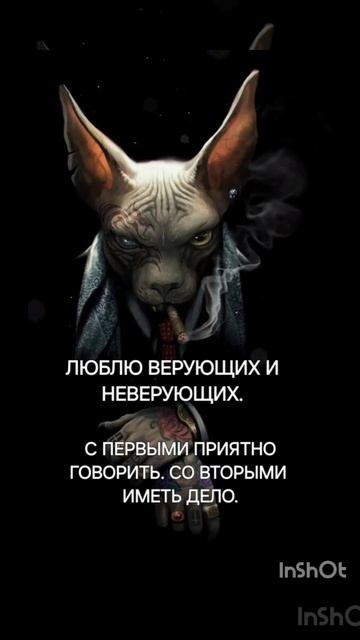 Цитаты кота