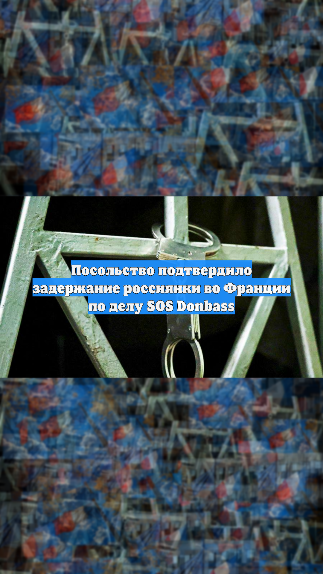 Посольство подтвердило задержание россиянки во Франции по делу SOS Donbass