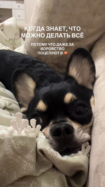 ТГК - Канал Лучистой