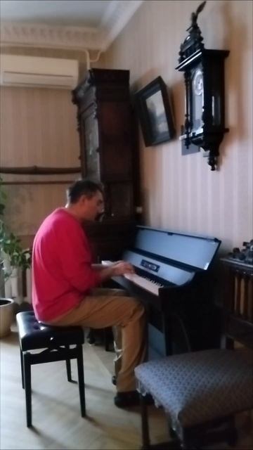 Девочка и Дельфин (28 декабря 2024)