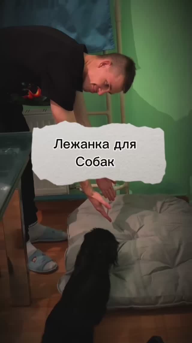 Новое спальное место для питомцев