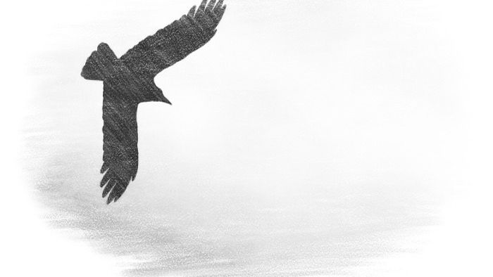 Шакал 3 птица Олег Юргаев и ИИ