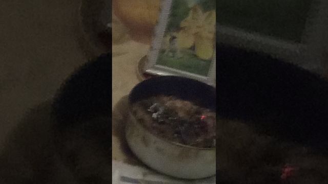 VID_20251103_201115.mp4